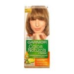 Garnier 7.1 Ash Blonde