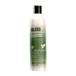 BLESS CONDITIONER WITH ARGAN OIL 500 ML
